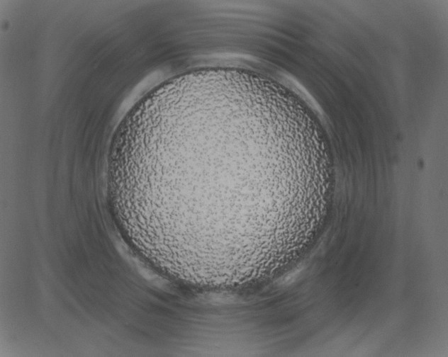 X0000081320994200702012355