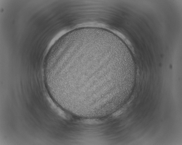 X0000081320998200702012355