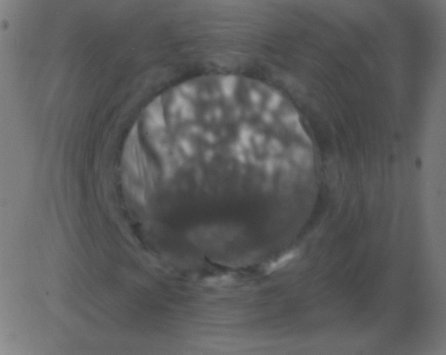 X0000081321009200702012354