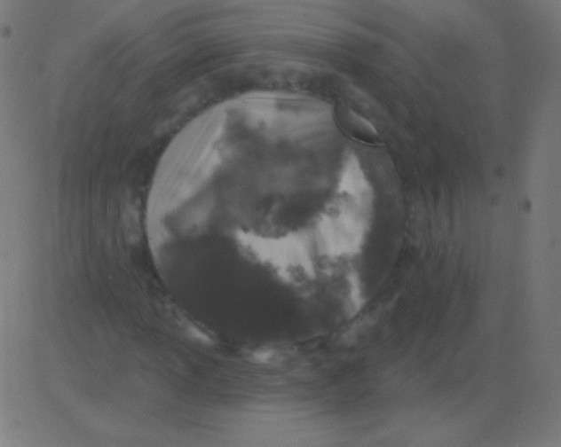 X0000081321013200702012354