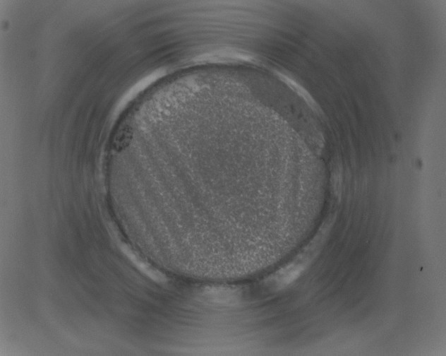 X0000081321026200702012354