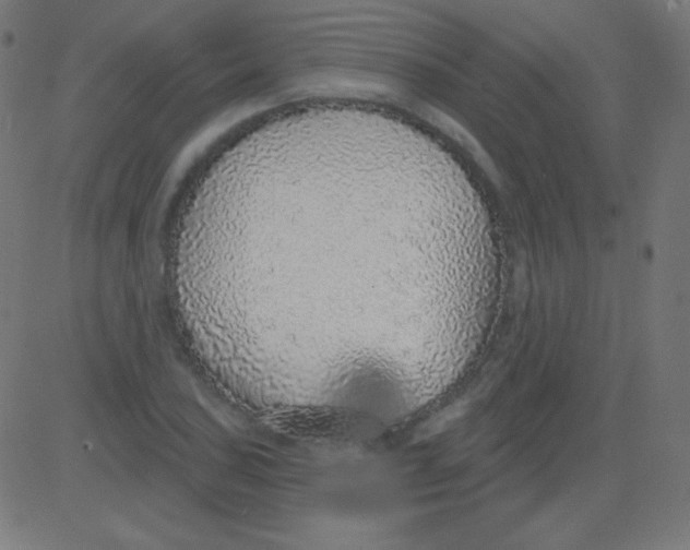 X0000081321027200702012354