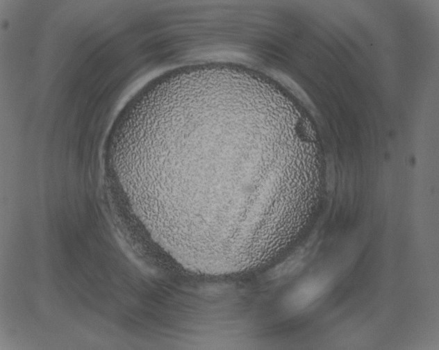 X0000081321031200702012354