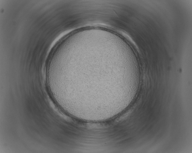 X0000081321032200702012354