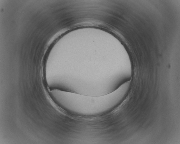 X0000081321034200702012354