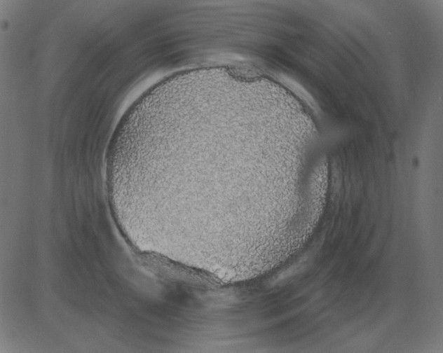 X0000081321047200702012354