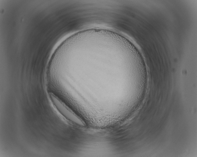 X0000081321056200702012354