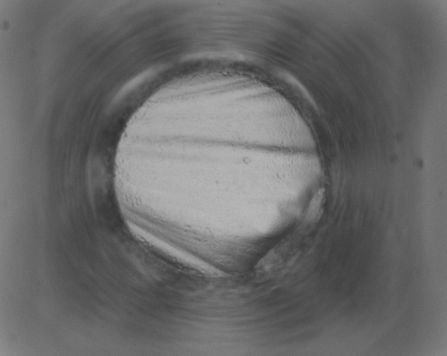 X0000081321064200702012354