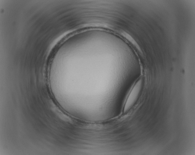 X0000081321068200702012353