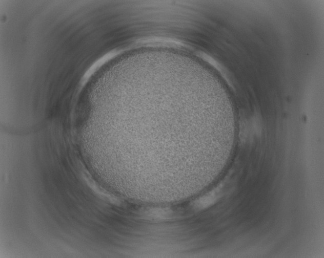 X0000081321074200702012353