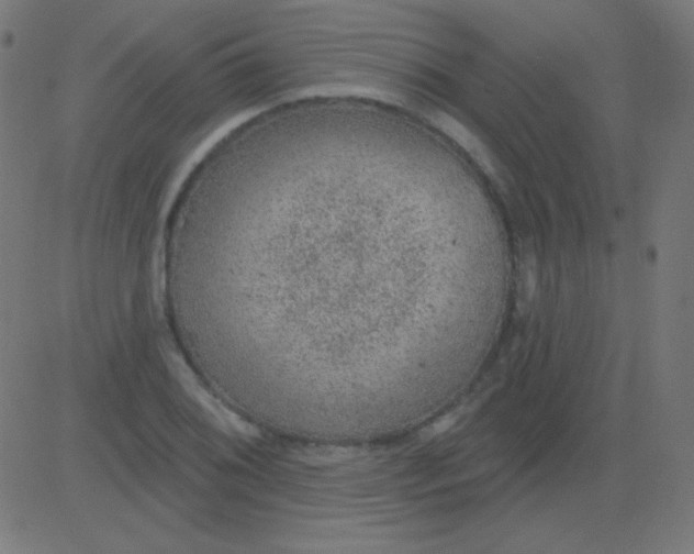 X0000081321076200702012353
