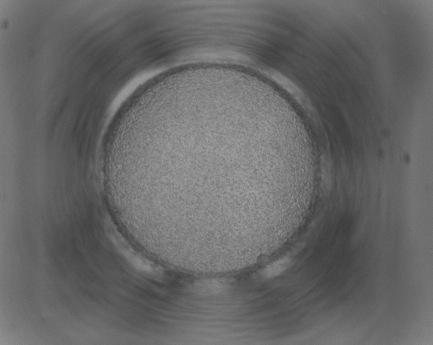 X0000081321078200702012353