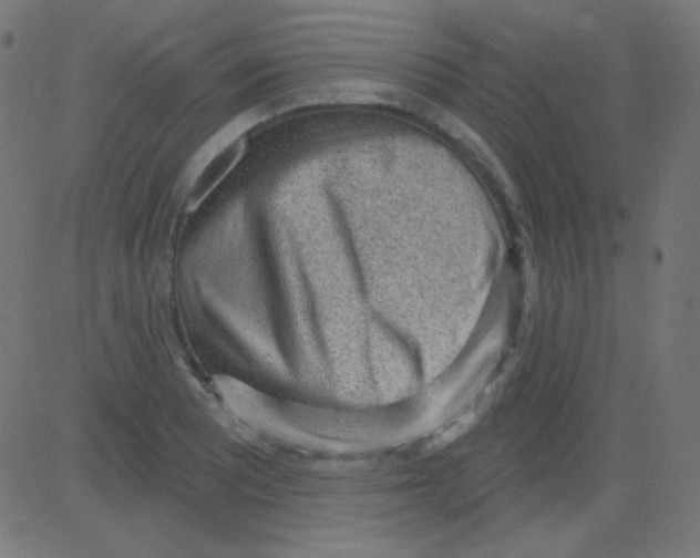 X0000081321081200702012353