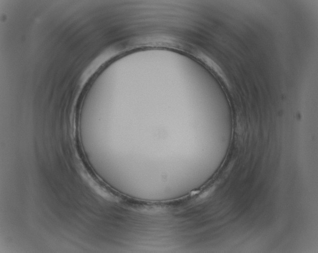 X0000081321082200702012353