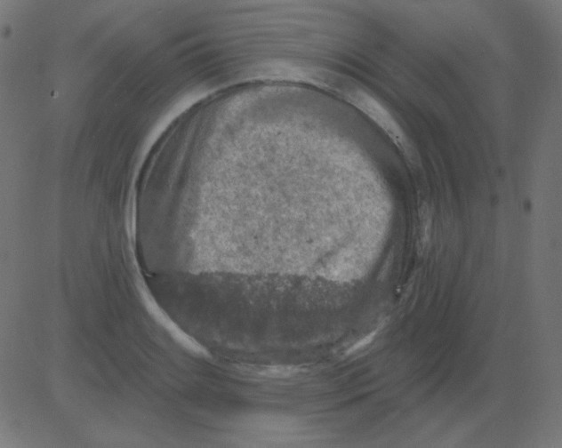 X0000081321084200702012353