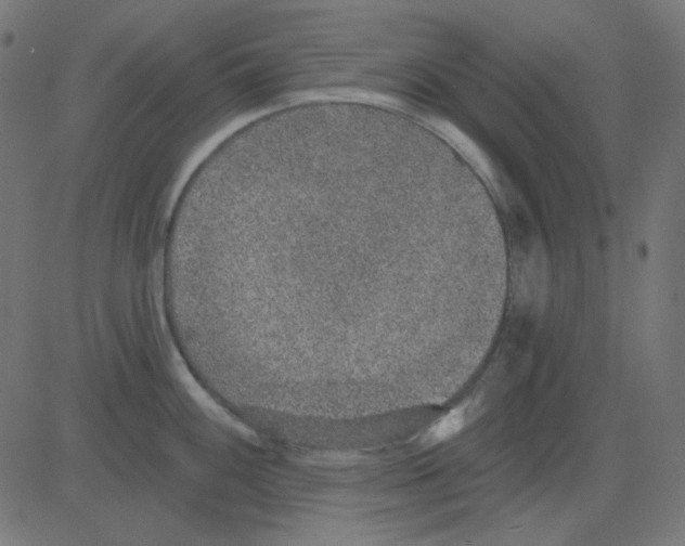X0000081321100200702012353