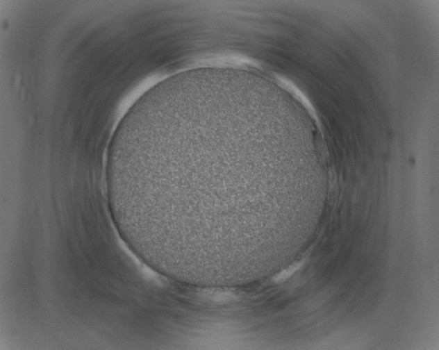 X0000081321103200702012353