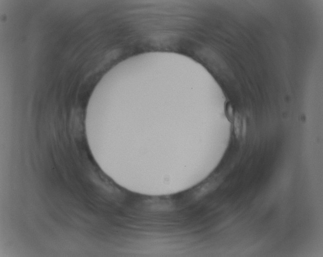 X0000081321107200702012352