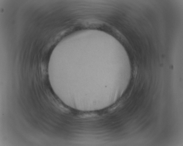 X0000081321108200702012352
