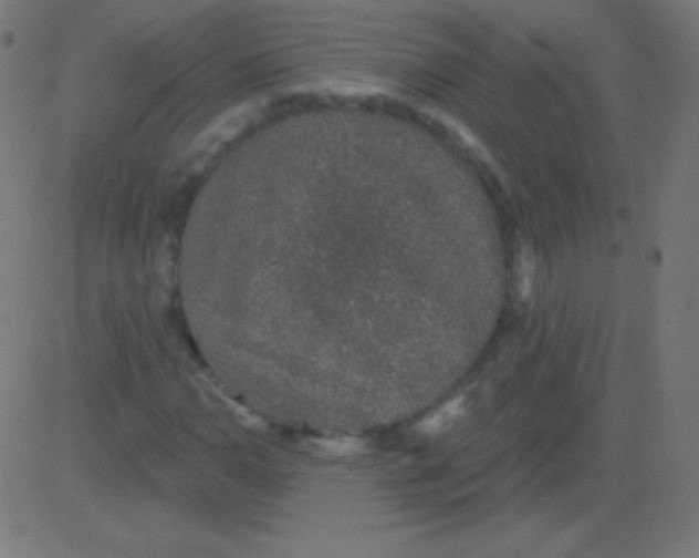 X0000081321110200702012352