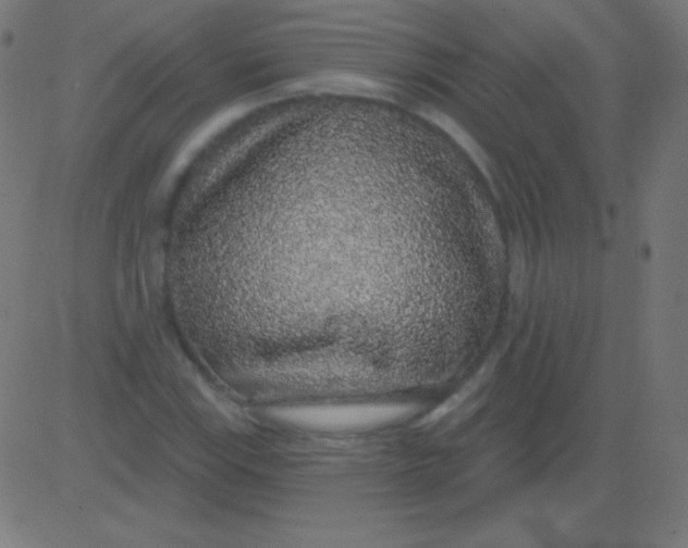 X0000081321115200702012352