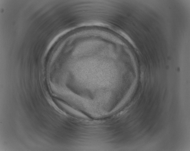 X0000081321116200702012352