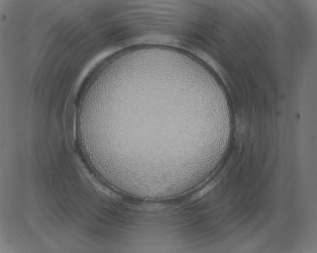 X0000081321123200702012352