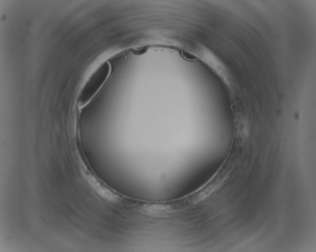 X0000081321140200702012353