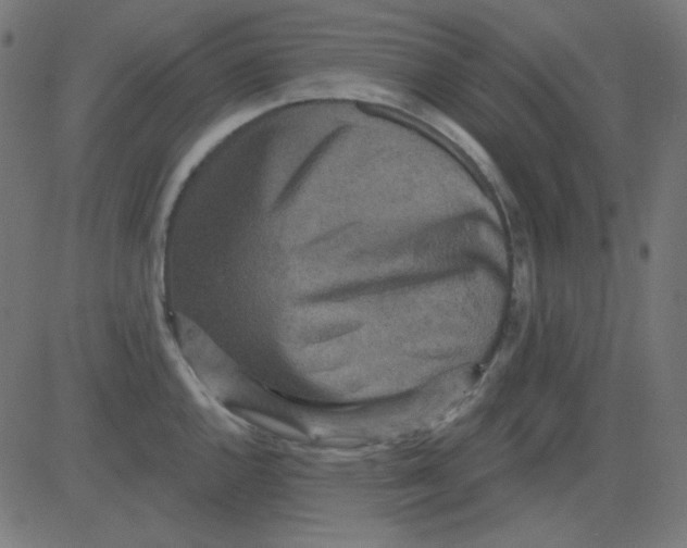 X0000081321144200702012353