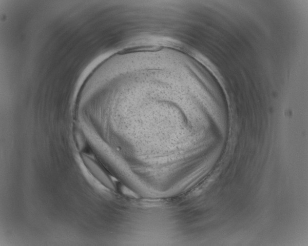X0000081321152200702012353