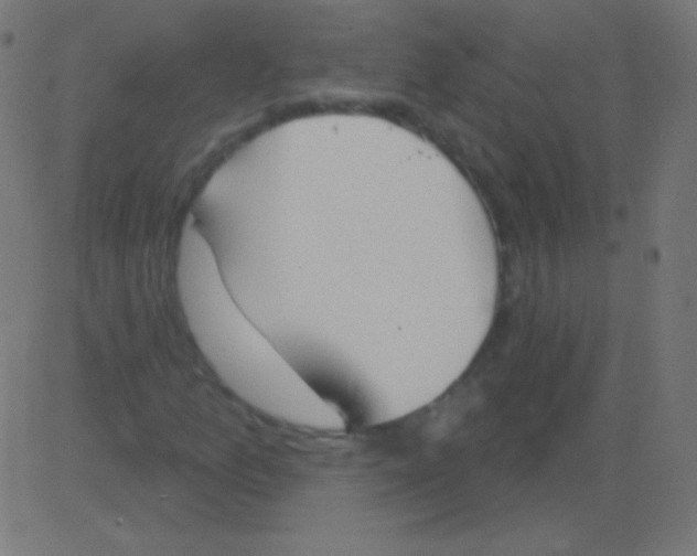 X0000081321157200702012352