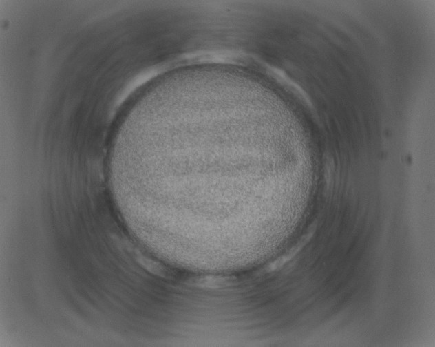 X0000081321166200702012352