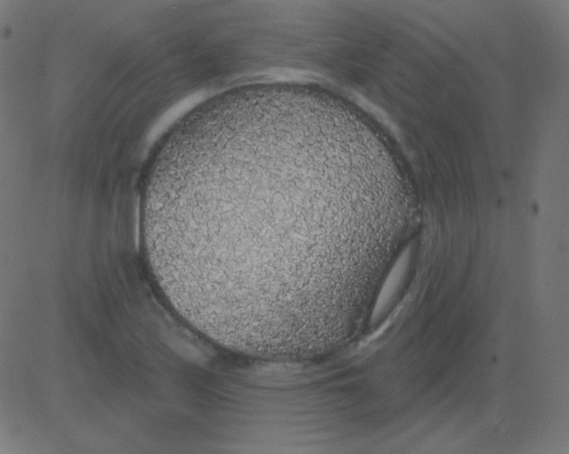 X0000081321171200702012352