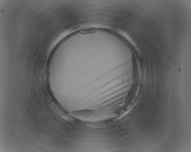 X0000081321173200702012352