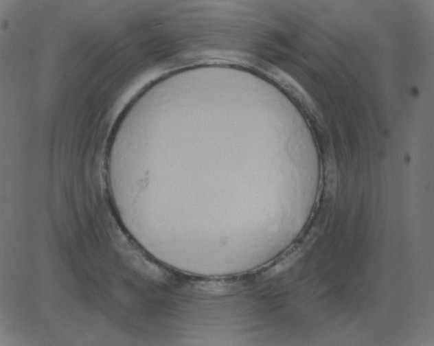 X0000081321182200702012352