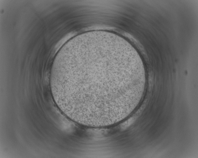 X0000081321185200702012352