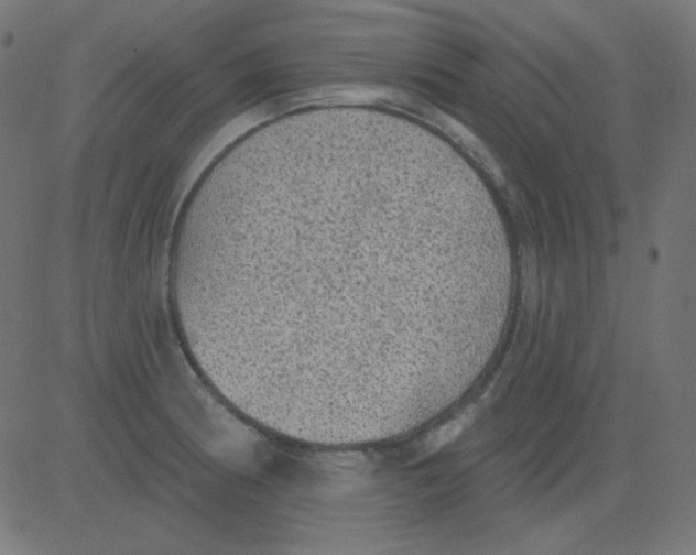 X0000081321186200702012352