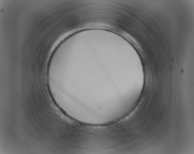 X0000081321192200702012351