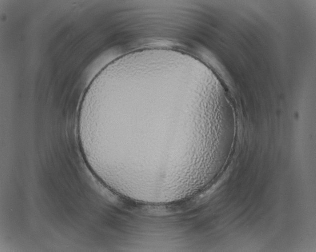 X0000081321194200702012351