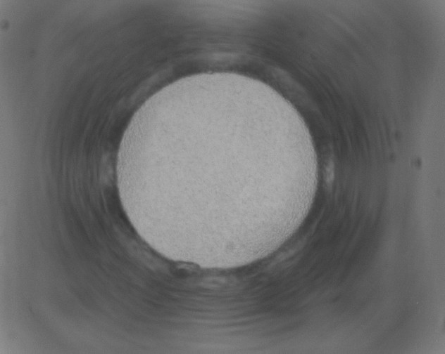 X0000081321204200702012351