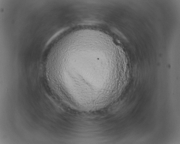 X0000081321208200702012351