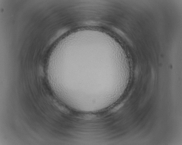 X0000081321209200702012351