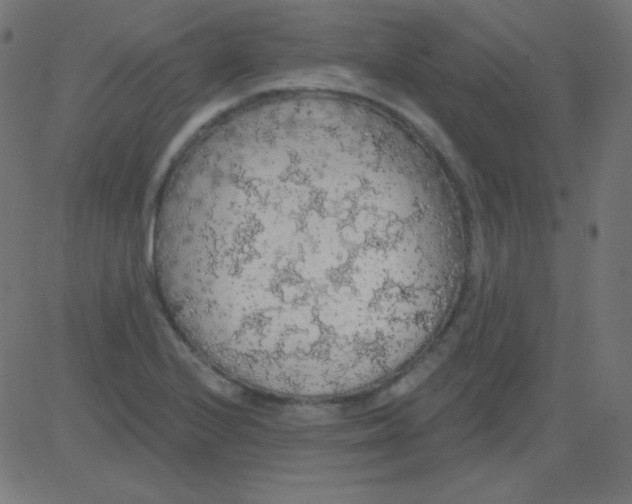 X0000081321224200702012351
