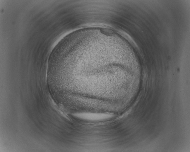 X0000081321228200702012351