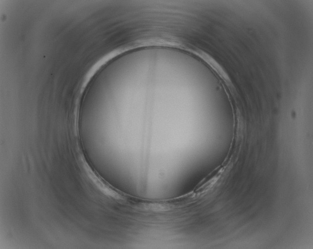 X0000081321246200702012351