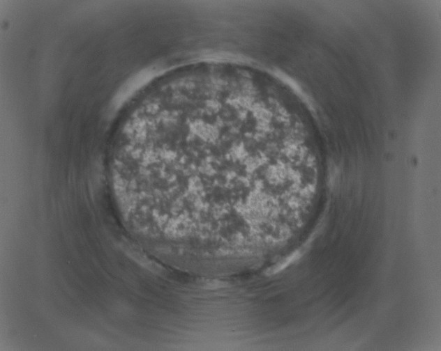 X0000081321263200702012350