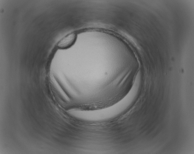 X0000081321264200702012350