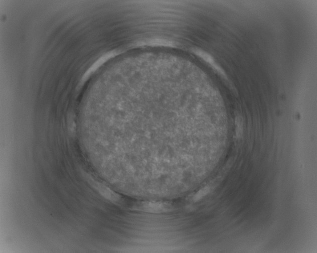 X0000081321266200702012350