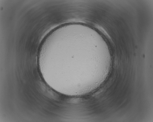 X0000081321268200702012350