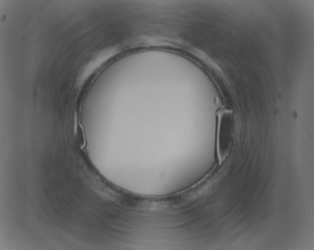 X0000081321269200702012350